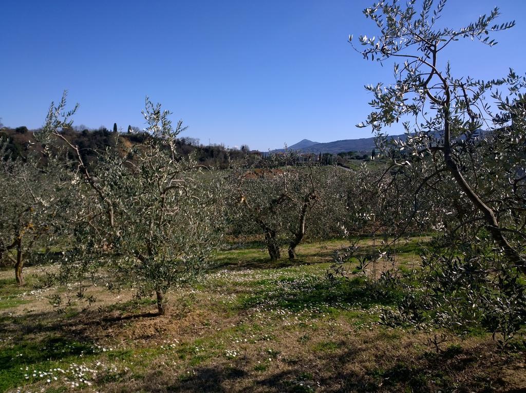 Madonna Della Rosa Lejlighed Chianciano Terme Eksteriør billede